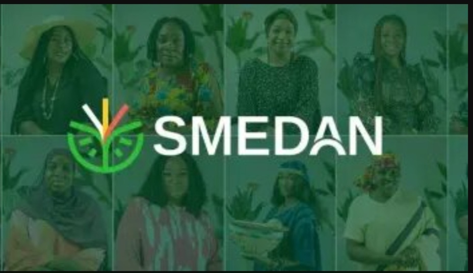 MSME Africa SMEDAN and EDC Empower 10,000 Women Entrepreneurs