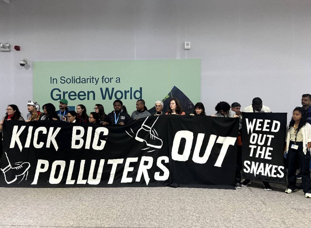 African Climate Activists Condemn Presence of 1773 Fossil Fuel Lobbyists At COP29