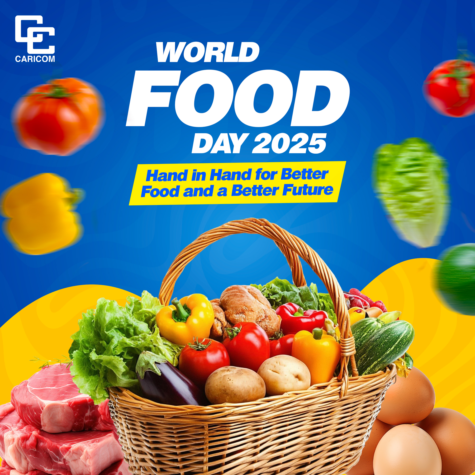 World Food Day: CAPPA Urges Stronger Regulation Of Pre-Processed Foods