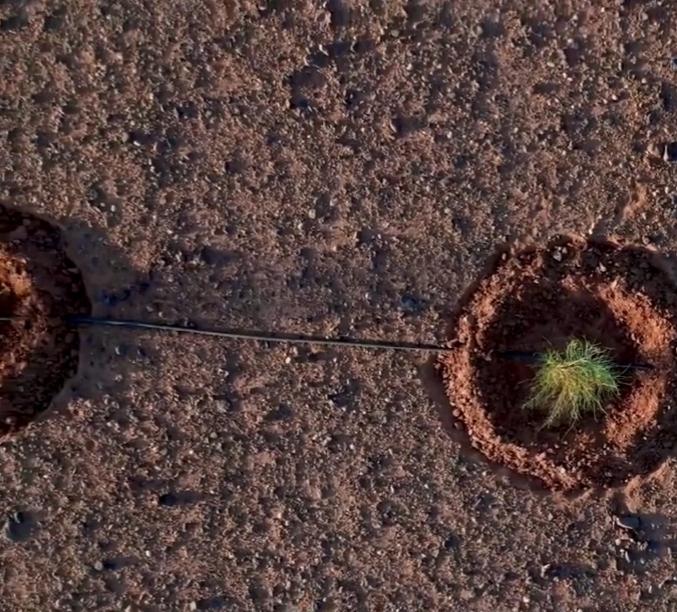 Saudi Green Restores A Million Hectares Of Degraded Land